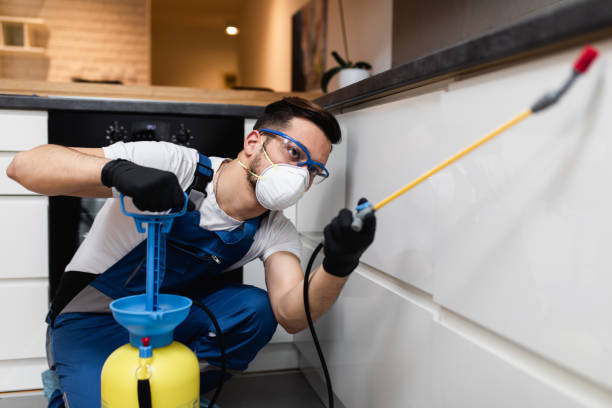 Best Local Pest Control Services  in Raynham Center, MA