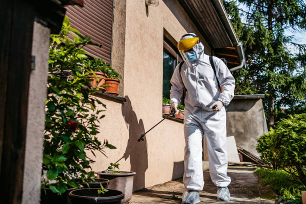 Best Affordable Pest Control Services  in Raynham Center, MA