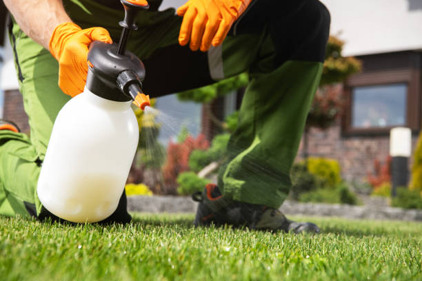 Best Pest Control Near Me  in Raynham Center, MA