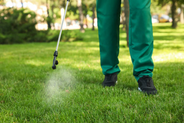 Best Insect Control  in Raynham Center, MA