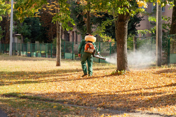 Best Rat Extermination Near Me  in Raynham Center, MA