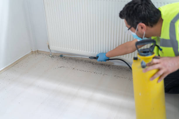 Best Pest Inspection Near Me  in Raynham Center, MA