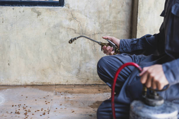 Best Best Pest Control Companies  in Raynham Center, MA